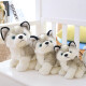 Strange chien en peluche chien chien husky poupée de jouet de jouet de simulation Erha Doll dormant avec cadeau d'anniversaire q version simulation husky poupée 20cm [smooth peluche 丨 adapté à la peau et délicate]