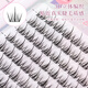 Meet the Beauty, False Eyelashes Book Lazy Trilogy 320 Clusters Large Capacity Single Cluster Natural Pure Wild Feather Fan Fairy Blossom Wheat Ear