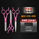 Tanizaki Pet Scissors Beauty Tools Dental Scissors Pet Set Scissors Special for Bichon Frize Home Beauty Scissors Deep Beauty Scissors Set Special for Bichon Frize