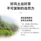 顶青湖乌岽单丛茶蜜兰香 潮州凤凰单枞茶高山老枞碳焙特级乌龙茶50克