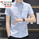 Holzspecker (Tucano) 2024 Neues Ice Seide kurzärmeliges Hemd Herren Sommerdünn Taschenhemd Korean Casual Plaid Top Green 847 M 90-104jin [Jin gleich 0,5 kg]