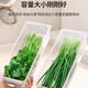 Home KATEI STORY Japanese antibacterial onion crisper drain food grade long coriander green onion ginger garlic refrigerator storage box onion segment box