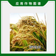 Lanyue Aigensheng 2% indolebutyric acid naphthalene acetic acid rice growth regulator to improve transplantation and root growth regulator 20g