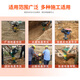 XMSJ打夯机汽油冲击夯夯土机夯实机高频柴油小型电动压地基砸地机 14110型汽油合资本田 铸