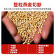 Bob's Red Mill importé de farine d'avoine Céréale entière haute fibre 0 Ajouter des grains d'avoine coupés en acier sans gluten 680g