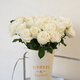 Jingdong Flowers Baixueshan Rose 10 Ruyi Base Fresh-cut Flowers Water-raised Flower Arrangement Lifestyle Bouquet Gifts Straight from the Source