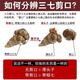 膳鼎祁  三七云南文山春三七中药材20头10头无剪口田七三七头 【精选30头30个-500克当季新货】