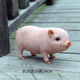 Han Chang Garden Decoration Garden Ornaments Creative Gifts Piggy Model Resin Crafts Animal Simulation Pig Ornaments Station Black Pig Pair