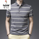 Holzspecker (Tucano) Horizontal gestreiftes Kurzärmel-T-Shirt für Männer im Sommer mit Baumwoll-Revers-Polo. Hemd mit mittlerem Alter Daddy-Outfit losen Halshälfte halbärmelte Top 1278 Top Green S 165