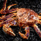 Dingdong Fresh Global Seafood Gift Box Neujahrswarenpaket Boutique Geschenkbox für Festival Geschenkbox für Enterprise Group Kauf Mitarbeiter Wohlfahrt Globales Meeresfrüchte DL3888