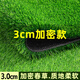 Qingya lawn simulation carpet artificial fake turf outdoor bedding kindergarten green artificial floor mat plastic grass decoration 3 cm encrypted version (1 meter wide x 15 meters long)