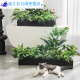 仿真绿植套装仿真花隔断植物装饰摆件花槽龟背叶花箱假花造景 e3895x20m五彩斑斓