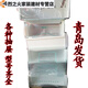 XMSJ适之通用冰箱抽屉冷藏冷冻配件通用176/196/215/186/206抽斗盒 饺子盘5009