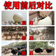 Special feed additive for ostrich, electrolytic multi-dimensional premix, seedling breeding, egg production, weight gain, fattening treasure vitamin, single bag