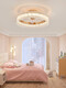OPP Lighting (Opple) Neueste Opp Crystal Lüfter Licht 2024 Neues Wohnzimmer Licht Hauptschlafzimmer Leuchte Decke mit elektrischem Ventilator schüttelt Kopf Restaurant 12033 Gold Decke 50 cm Wuji + schütteln