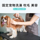 Suican pet grooming sling, lanyard, suction cup, grooming table, wire sling, dog shaving and bathing, fixed, anti-falling rope, suction cup wire model, recommended 30 Jin Jin equal to 0.5 kg, 1 beauty sling