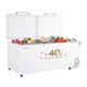Congélateur suiling commercial congélateur grande capacité réfrigérateur horizontal réfrigérateur convertible réfrigérateur commercial réfrigérateur restaurant stand gard stand hôtel cuisine adaptée au réfrigérateur commercial - 40 / niveau d'efficacité énergétique / nouvellement lancé BD-828DW