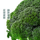 Shuangdacai plateau broccoli about 400g