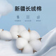 乔治白【免烫】春秋季男士长袖衬衫纯棉白衬衣纯色职业上衣 白色 175/96A