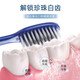 Brosse à dents Sanxiao Meijie Soft Bristle Emballage indépendant Bristle Bristle Brosse de dents adulte Équipement de maison Fine cheveux fins pour hommes et femmes 10 pièces Bristle doux [Emballage indépendant]