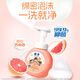 Lion Qujing Foam Antibacterial Hand Sanitizer Refreshing Grapefruit Scent 250ml+200ml*3 Thick Foam Suitable for the Whole Family