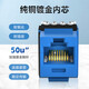 泛达（PANDUIT） 六类网络信息面板模块通用模块面板 蓝色 六类NK688M