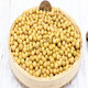 2023 Northeast New Soybean Sprout Special 690 Extremadamente pequeño Natto Natto Pequeños frijoles dorados 1Jin [Jin equivale a 0.5 kg]