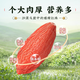 Fengkaiyuan Industrial Ningxia Bio Wolfberry [nach 557 Qualitätsprüfung] SUPER-GRADE Schwefelfrei geraucht und ohne Zertifikat gefärbt [offizieller echter Bio-Wolfberry 1000g [250g*4 Dosen]
