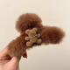 Korean ins cute bear plush grabber female cute hairpin autumn and winter temperament back head shark clip tassel white