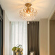Yunyu Light Luxury Crystal Gang Light Light Light Luxury Corridor Creative Deckeneingang Eingang Eingang Eingang Eingang kleine Balkon Lichtlampe 9885 Modell-mit vollem Spektrum dreifarbige Lichtquelle