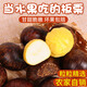 Jingmi Hebei Qianxi fresh chestnut net weight 2Jin Jin is equal to 0.5kg large grains (the size of a one yuan coin) sent directly from the source package
