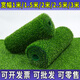 Qingya lawn simulation carpet artificial fake turf outdoor bedding kindergarten green artificial floor mat plastic grass decoration 3 cm encrypted version (1 meter wide x 15 meters long)