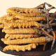 Beijing Tongrentang Quality Cordyceps Lhasa Shipping Authentic Cordyceps Gift Box Pack Broken Cordyceps Dry Gift Gift Box Gift Box 2 1 gram Complete Cordyceps 100 Roots 50 grams in total [Independent Tube Installation]
