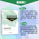 New Oriental Flagship New Thinking on English Grammar Beginner + Intermediate + Advanced Tutorial Zhang Mansheng Basic Edition Grammar Complete Textbook of English Grammar Books for Junior High School and High School College Basic Edition 1+2+3 Suitable for primary school students to junior high school/junior high school