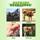 Kelunbaan cattle and sheep fattening and growth-promoting feed additives cattle feed meat growth premix to remove oil and small ingredients, factory direct delivery 7.5kg/barrel