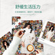 承琉金晨拼图明星周边进阶5到6岁儿童200/300/500/1000片带相框 【盒装+相框】1000片-V3883