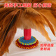 Bibiqi handmade feather shuttlecock for children and primary school students competition shuttlecock sports special adult shuttlecock shuttlecock fitness key