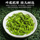 Jiangjie Yunwu Green Tea 2025 Tender Knospen vor der Ming-Dynastie, die Ming-Dynastie, der Mountain Yunwu-Tee kann blasenresistente 100G Mid-Autumn Festival Geschenk sein