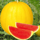 Dayu Yellow Heart Watermelon Seeds Complete Collection Early Maturity Yellow Skin Red Flesh Yellow Flesh Special Xiaofeng Watermelon Seeds Southern Fruit Futian Jinlinglong Watermelon Seeds 30 Simple Packs
