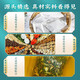 Chicory Gardenia Tea Green Money Sauric Acid High Elimination and Lower I Uric Acid Tea Gout Pain Relieving Gout Medicine I Uric Acid Pain Relieving Tea I Acid Pain Relieving Tea I Acid Health Tea Middle-aged and Elderly Health Tea [Acid Reducing 180-300] 10 Boxes of Chicory Gardenia Tea