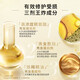 欧莱雅洗发水大金瓶奇焕精油洗发露套装防断发修护清洁抚平毛躁分叉 大金瓶洗发水 440ml*2瓶
