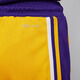 Nike (NIKE) official boys Los Angeles Lakers ICON NBA big kids quick-drying shorts FZ1187 728 Amarillo yellow/Los Angeles Lakers 150 M