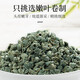 Xinjiang Apocynum young leaf tea 500g with Eucommia and Gynostemma pentaphylla 16 flavors Qingqianliu corn silk mulberry leaf tea 18 cans