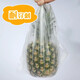 Miaojie Haojin Series Vest-style Fresh Bag Large Size 250 Pieces