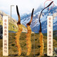 Support quality inspection 100 grams to get 10 grams of big broken grass Authentic Cordyceps sinensis Cordyceps sinensis Cordyceps sinensis and self-eating tonic Cordyceps sinensis Cordyceps sinensis 10 grams to get one gram