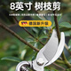 Xulin German pruning shears and flower shears, huge labor-saving fruit tree pruning scissors, potted flowers and gardening pruning SK5 steel Teflon bungar snake (labor-saving pruning shears)