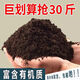 Nutrient soil flower soil vegetable green radish succulent soil flower fertilizer potted flower organic planting soil soil universal nutrient soil 5Jin Jin equals 0.5 kg sterilized