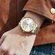 I/W Carnival Hwguoji Swiss berühmte Uhr Top Ten Marken Herren -Automatik mechanische Uhr Importierte Bewegung Doppelkalender Luminöser wasserdichte Uhr Aiwochi Jin Steel Band Weißer Boden + gleiches Modell + Exquisite Geschenkbox [679]