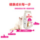 ROYAL CANIN Cat Food EP42/S35/A33 Preferred Intestinal Comfort/Taste Type Picky Adult Cat Food EP42 Intestinal Comfort Type Picky Adult Cat Food 2k 0g