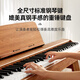 特伦斯（Terence）P37电钢琴88键重锤现代轻奢便携钢琴成人儿童电子钢琴 P37原木纹【重锤键盘】 官方标配+原装琴架+礼包
